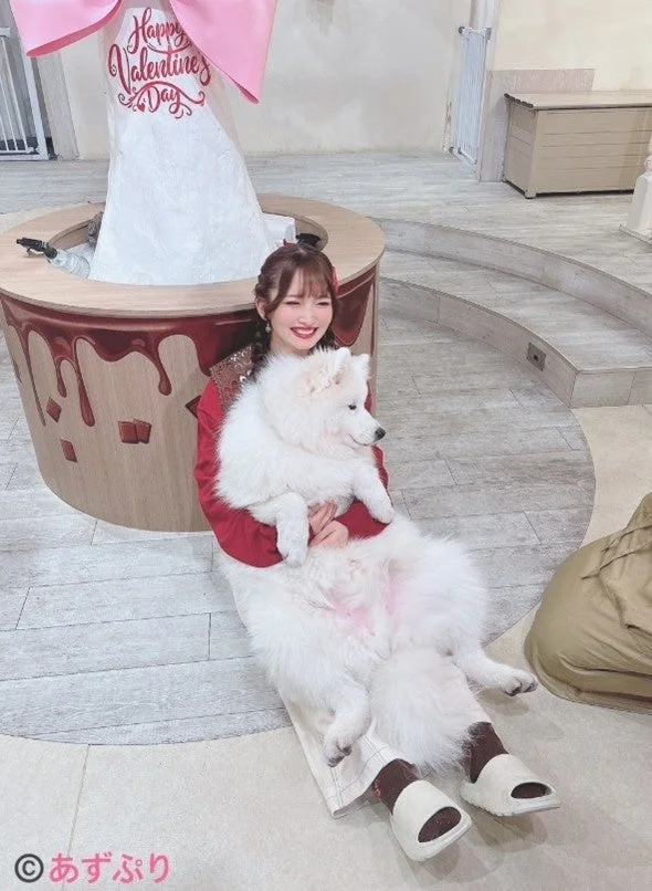 紫月さんとサモエド犬